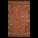 Malayer #5064